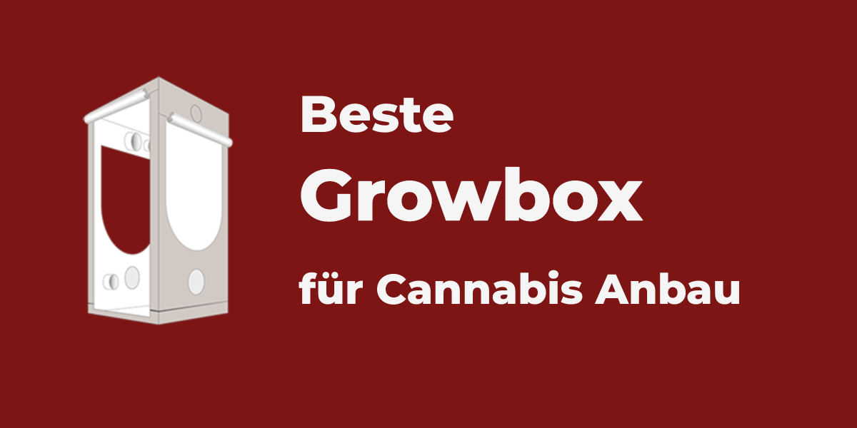 Beste Growbox Growzelt Fur Indoor Growing 2019