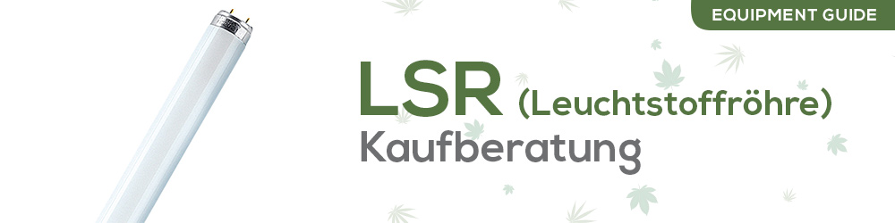 Kaufberatung: Leuchtstoffröhren für Cannabis Anbau (2021)