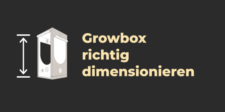 Wie groß sollte die Growbox sein?