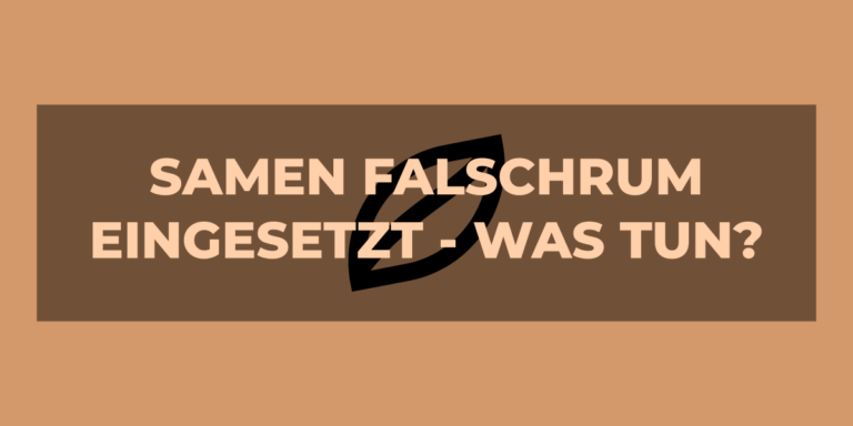 Samen falsch herum eingesetzt – was tun?