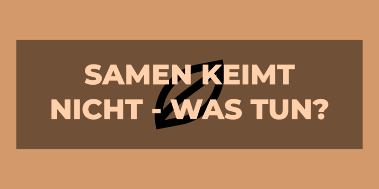 Samen keimt nicht – was tun?