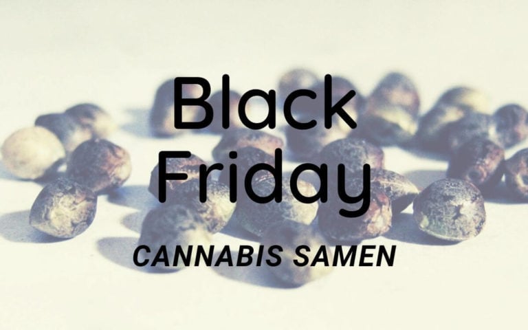 [Update] Cyber Monday 2019: Cannabis Samen Angebote bei Sensi Seeds, Seedsman, OSS