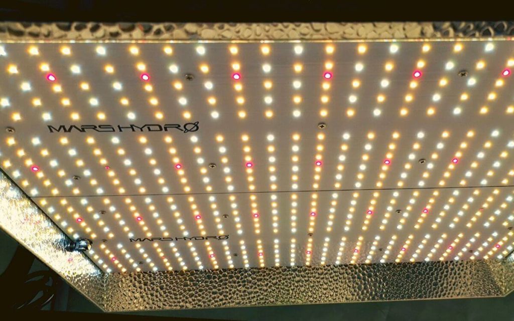 Testbericht: Mars Hydro TSW 2000 – Die Ultimative Low Budget LED Grow Lampe?