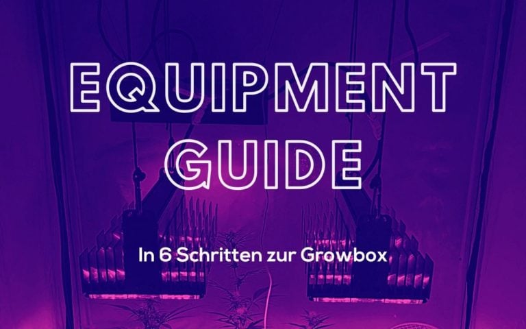Equipment-Guide: Was braucht man alles beim Indoor Anbau? (2025 Edition)