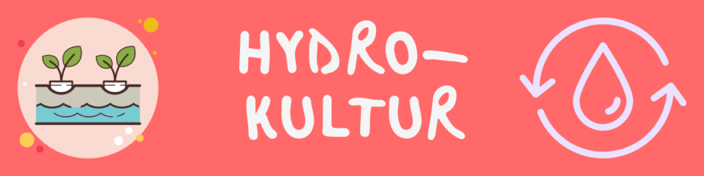 Hydrokultur
