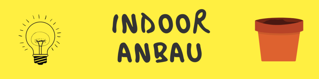 Indoor Anbau