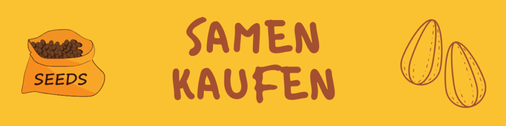 Samen kaufen