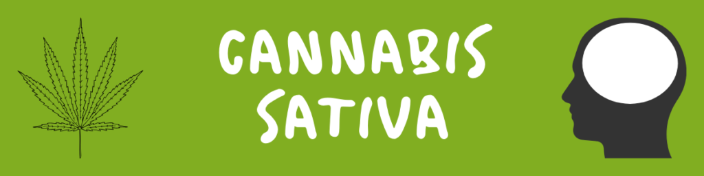 Cannabis Sativa