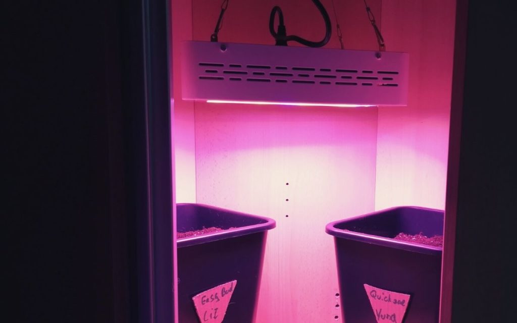 Kaufberatung: Mini-Growbox für 1-2 Pflanzen (2022)