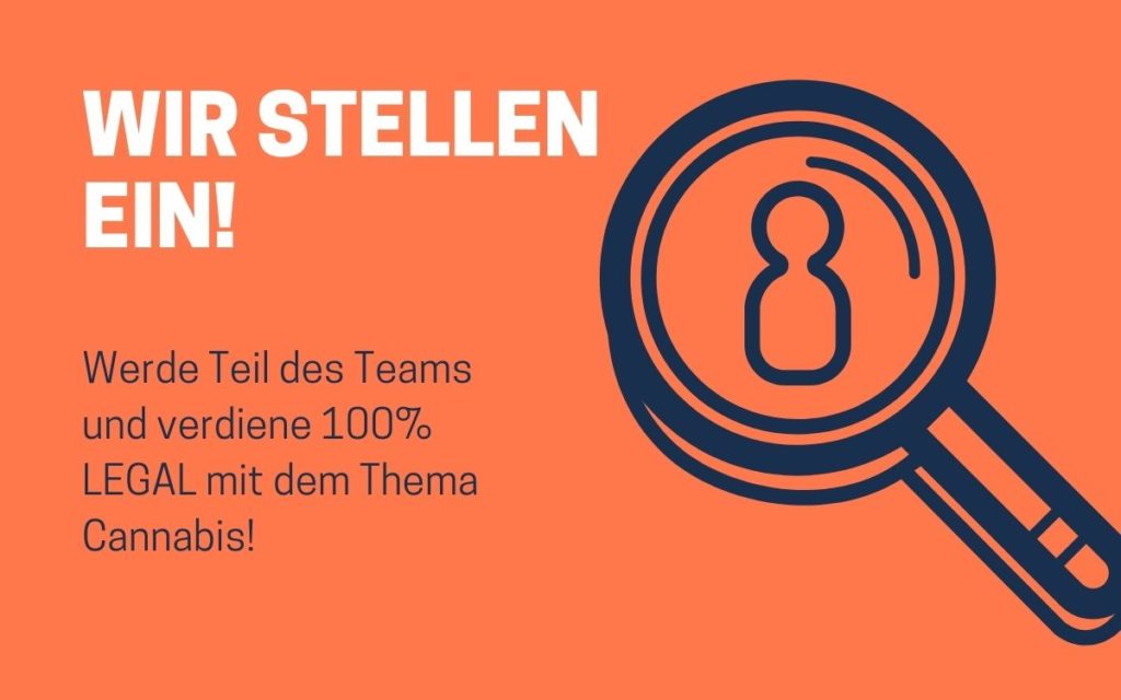 Mit Cannabis 100% LEGAL Geld verdienen? Bei uns ist es möglich! Bewirb dich noch heute!