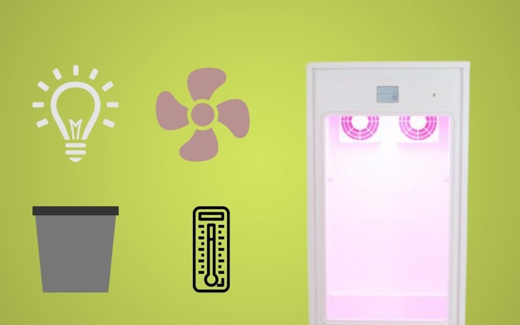 Beste Mini-Growbox Komplettsets 2025