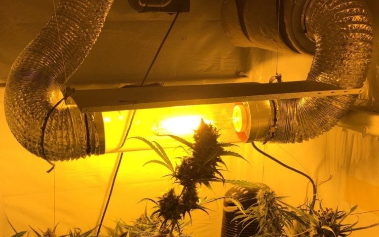 Kaufberatung: Cooltube für Cannabis Anbau (2021)