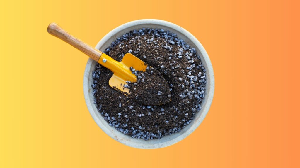 Kaufberatung: Die beste Erde für Cannabis Anbau im Jahr 2025