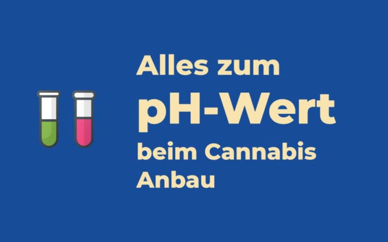 pH-Wert beim Cannabis Anbau: Das muss man wissen