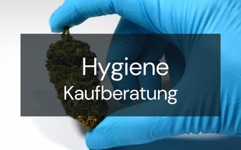 Kaufberatung: Sauberkeit und Hygiene beim Cannabis Anbau