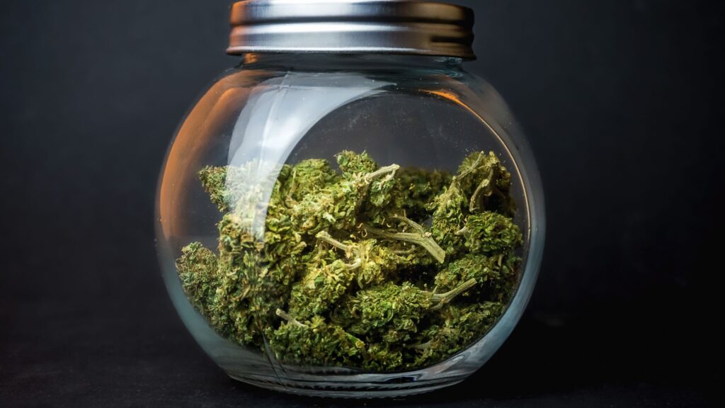 Kaufberatung: Beste Behälter zur Lagerung von Cannabis Buds (2025)