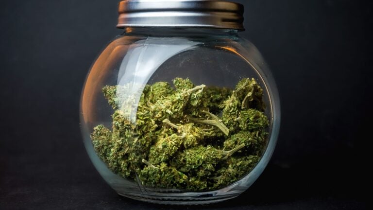 Kaufberatung: Beste Behälter zur Lagerung von Cannabis Buds (2025)