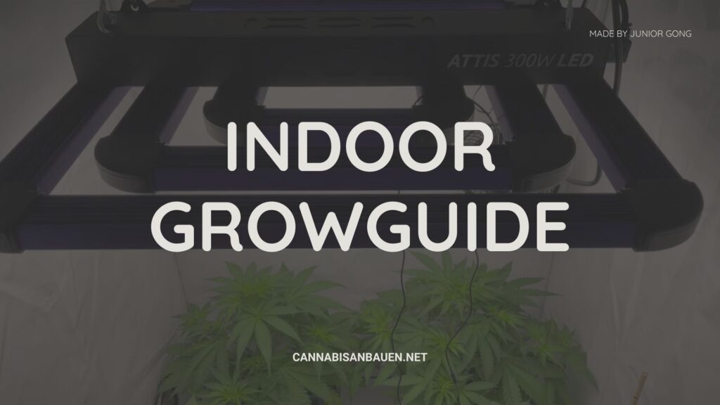 Indoor Growguide (2025)