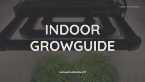 Indoor Growguide (2025)
