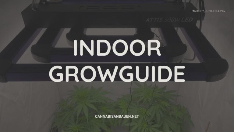 Indoor Growguide – 2025