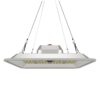 Greenception GC-Pure 80W Vollspektrum LED Growlampe