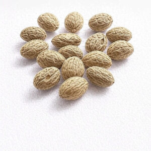 image (4) Boveda für Musikinstrumente | 2-Wege-Feuchtigkeitskontrolle mit 84% relativer Feuchtigkeit