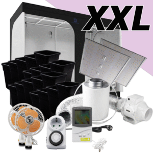 LED Low Budget Growbox Komplettset XXL / 240x120x200cm LED Low Budget Growbox Komplettset XXL / 240x120x200cm