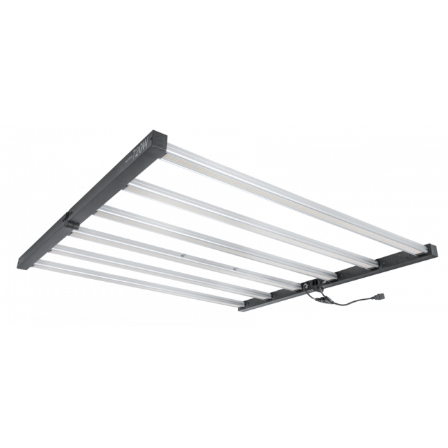 LUMii Black LED, 720W, mit Vorschaltgerät