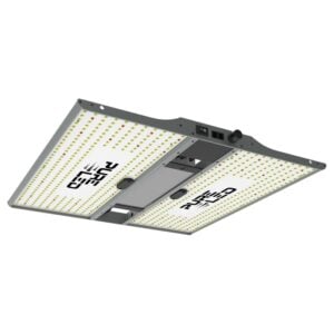Pure LED Growlampe Q240 V2.0 240W Vollspektrum