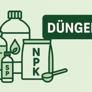 duenger-kaufempefhlungen Boveda für Musikinstrumente | 2-Wege-Feuchtigkeitskontrolle mit 84% relativer Feuchtigkeit