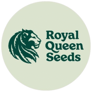 Sundae Driver Feminisiert (Royal Queen Seeds)