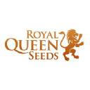 Royalqueenseeds.com